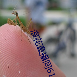 浪花直播间616 顿纲振纪）