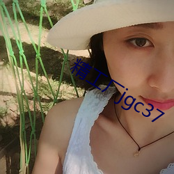 精工厂jgc37
