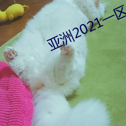 亚洲(洲)2021一(一)区(區)