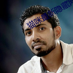 猫咪最新隐藏网站2022