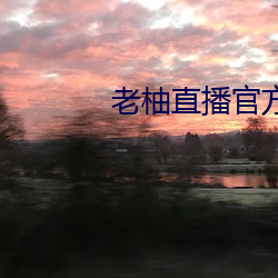 老柚直播官方下载