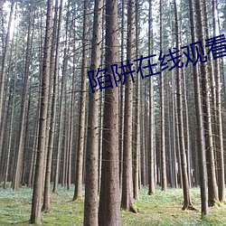 陷阱在线观(guān)看未删减(jiǎn)版(bǎn)完整