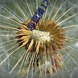 鸿运国际·(中国)会员登录入口