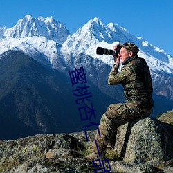 蜜桃杏仁一品鲍