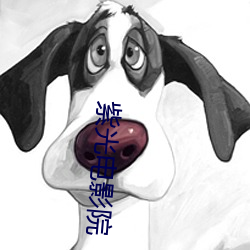 紫光電影院