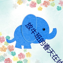 放牛班的春天在线观看免费