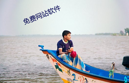免费网站软件(件)