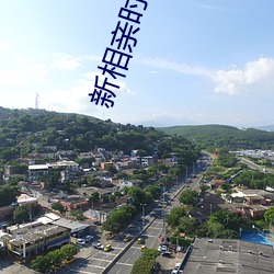 新相(相)亲时代免费观看完整(整)版