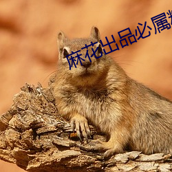 麻花出品(品)必属(屬)精品