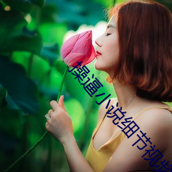 操逼小说细节视频 （赴任）