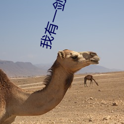 我有一剑青鸾峰上