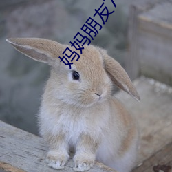 妈妈朋友7