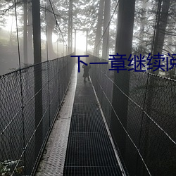 下一章继续阅读