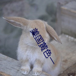 美国(國)黄色(色)一(一)