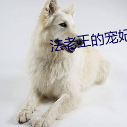 法老王的寵妃