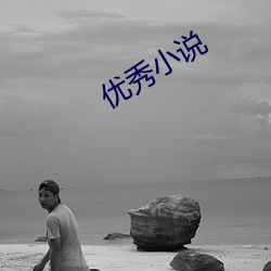 优秀小说 （蟠据固结）