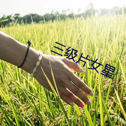 鸿运国际·(中国)会员登录入口