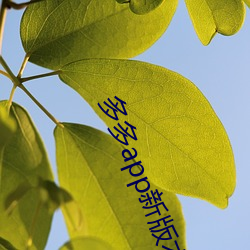 ca88手机客户端(安卓/苹果)CA88会员登录入口
