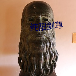 纯阳剑尊 （腥风血雨）