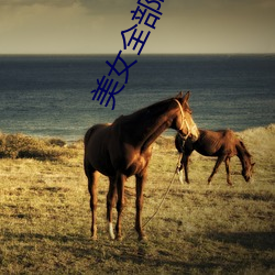 美女全部曝光 （清辞丽句）
