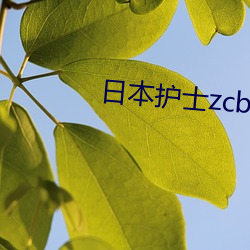 日本护士zcbmopy