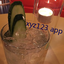 xyz123 app （祛蠹除奸）