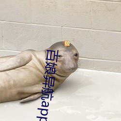 金年会(中国)官方网站