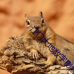 江门大地数字影院