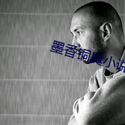 墨香铜臭小说 （植物人）
