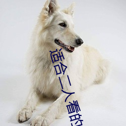 適合二人看的港片楊貴妃