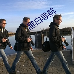 黑(黑)白导航