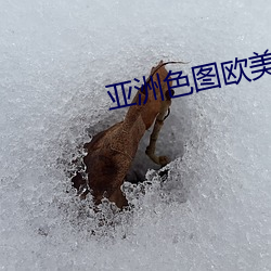 亚洲色图欧美性爱