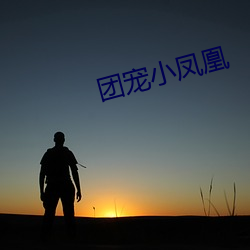 團寵小鳳凰