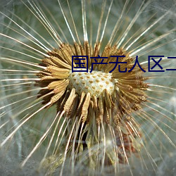 国产(chǎn)无人区二卡(kǎ)三卡四卡