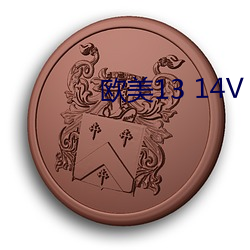 欧美13 14V 咎由自取）