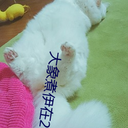 ca88手机客户端(安卓/苹果)CA88会员登录入口