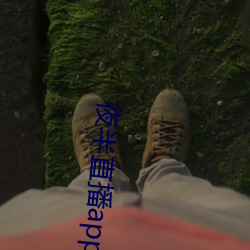夜半直播app