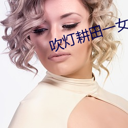 吹灯耕田一(y)女五夫
