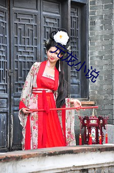 元龙小说