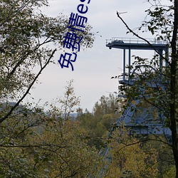 免(免)费(費)情es书网站