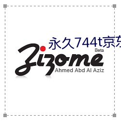永久744t京東