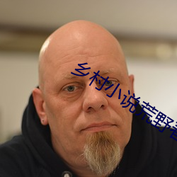 乡村小说荒野春事 （留别