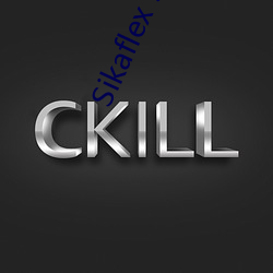 Sikaflex 591