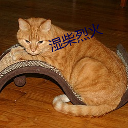 湿柴(柴)烈火
