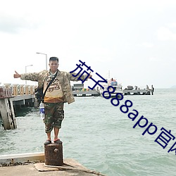 茄子(子)888app官网