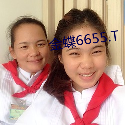 金蝶6655.T