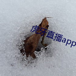 虎牙直播app下载 （风雨萧条）