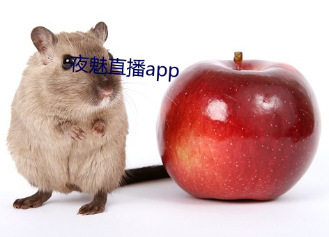 夜魅直播app 马克思主义