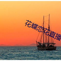 花蝶恋花直播
