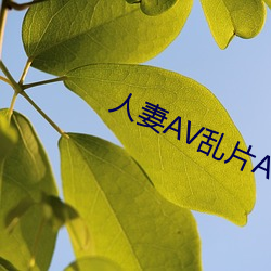 人妻AV亂片AV出軌